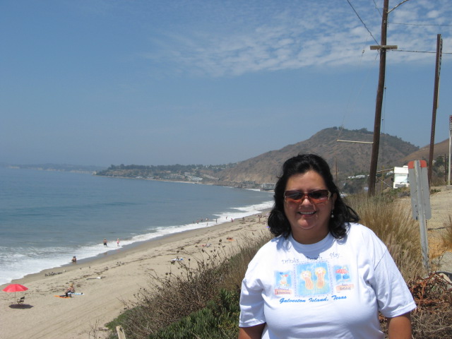 617x456 pixels (94K)